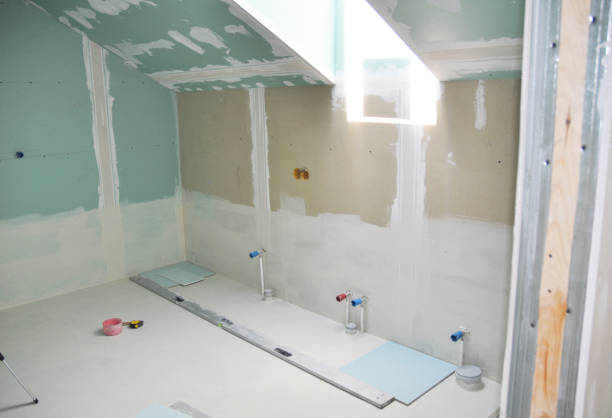 Best Airborne Mold Testing  in Craig, CO