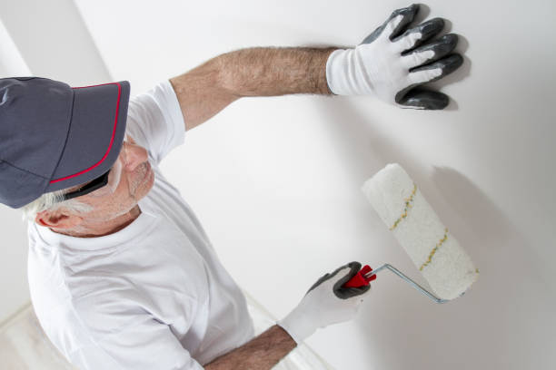  Craig, CO Mold Removal Pros
