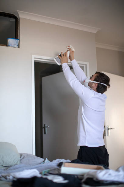 Best Asbestos and Lead Testing During Mold Inspection  in Craig, CO