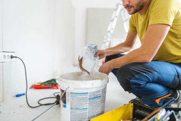Best Mold Damage Restoration  in Craig, CO