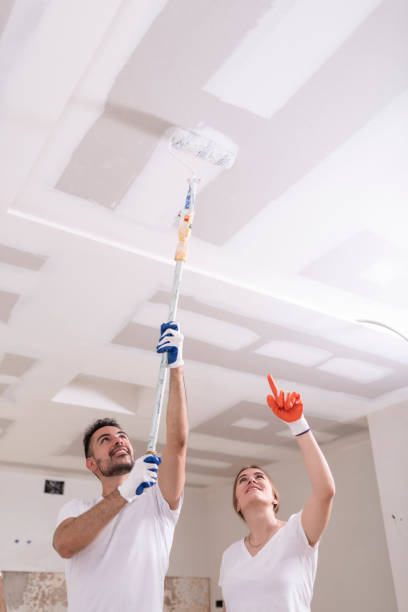 Best Water Damage & Mold Remediation  in Craig, CO