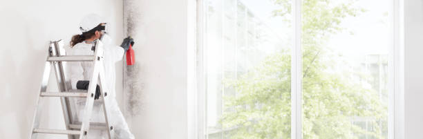 Best Real Estate Mold Inspection  in Craig, CO