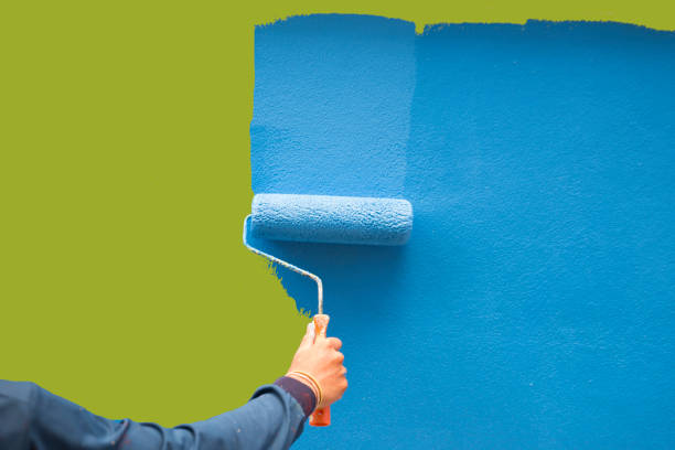 Best Post-Construction Mold Inspection  in Craig, CO